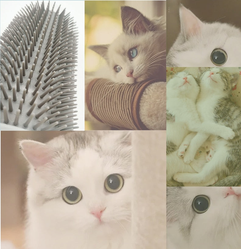 Kattenhoek Groomer
