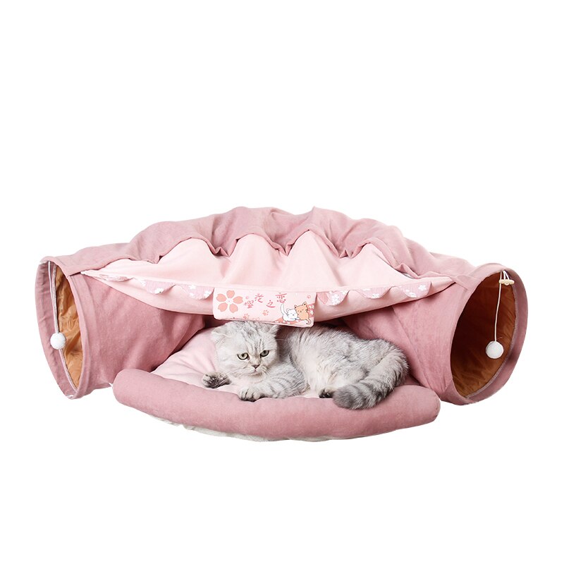 Cat Cav