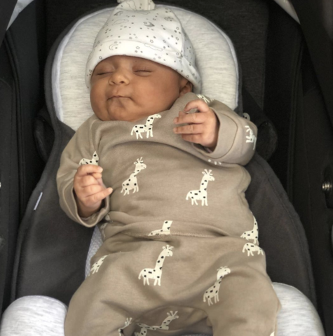 Portable Baby Nest