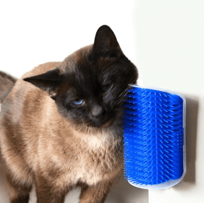 Kattenhoek Groomer