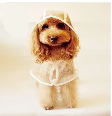 Dog Waterproof Transparent Raincoat