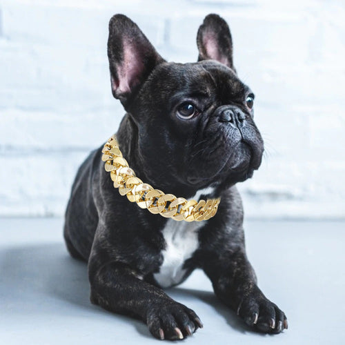 BlingBling Gullhundehalsbånd